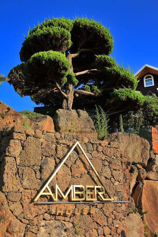 Vila Amber House Jeju Haga-ri  Exteriér fotografie
